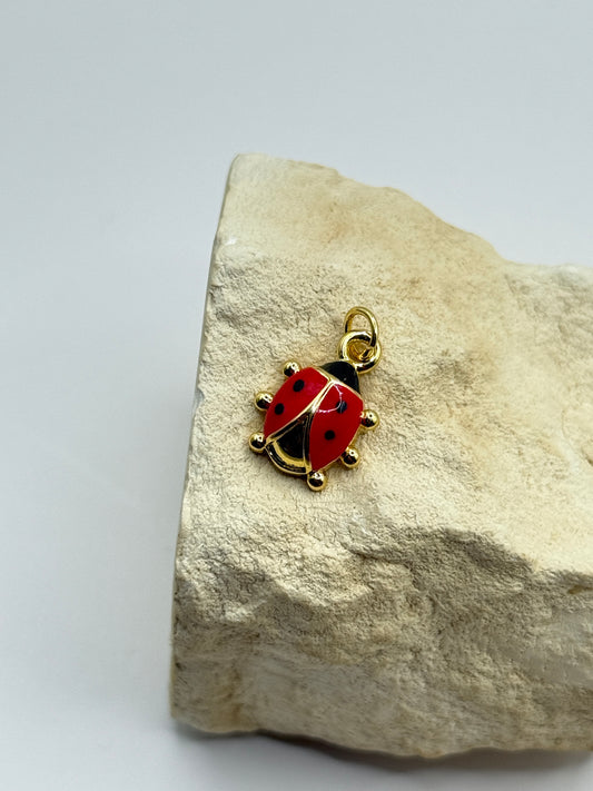 Lady bug
